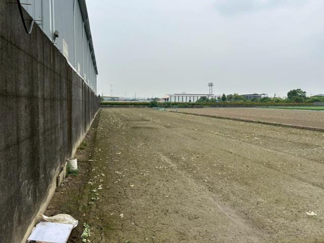 高雄大寮農地-2