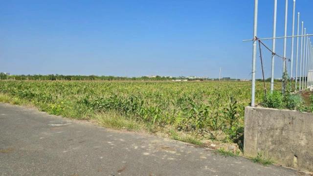 台南麻豆農地-3