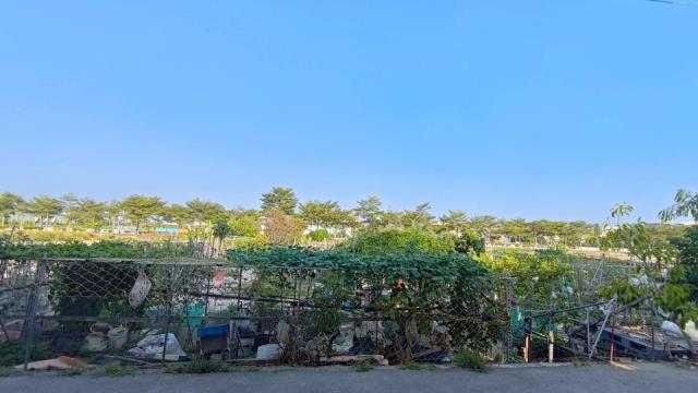 高雄大寮農地-2